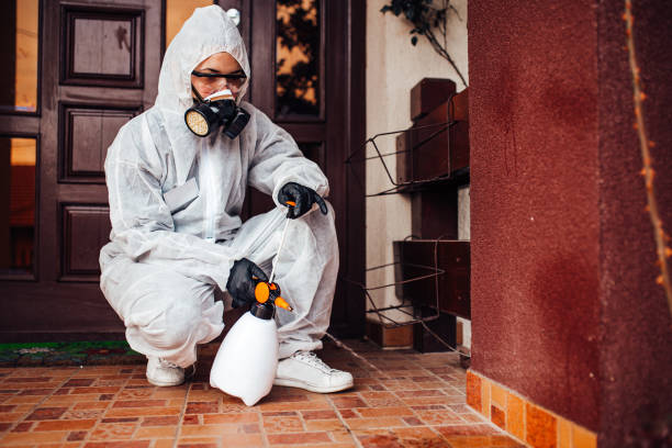 Reliable Wasp Removal contractor in Tolar, TX by Show Me Pest Control